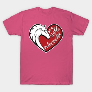 In a stable relationship T-Shirt